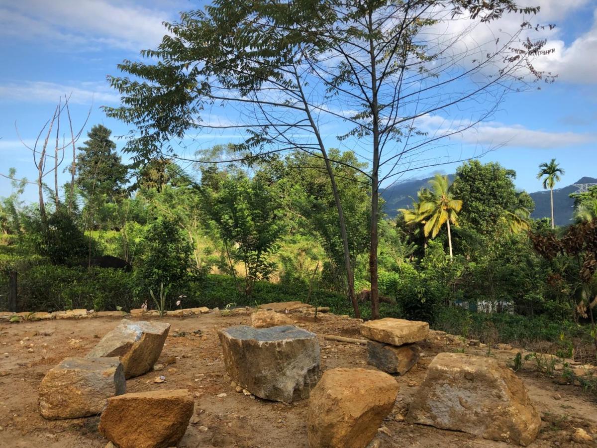 Palabaddala Tea And Eco Lodge Ratnapura Εξωτερικό φωτογραφία