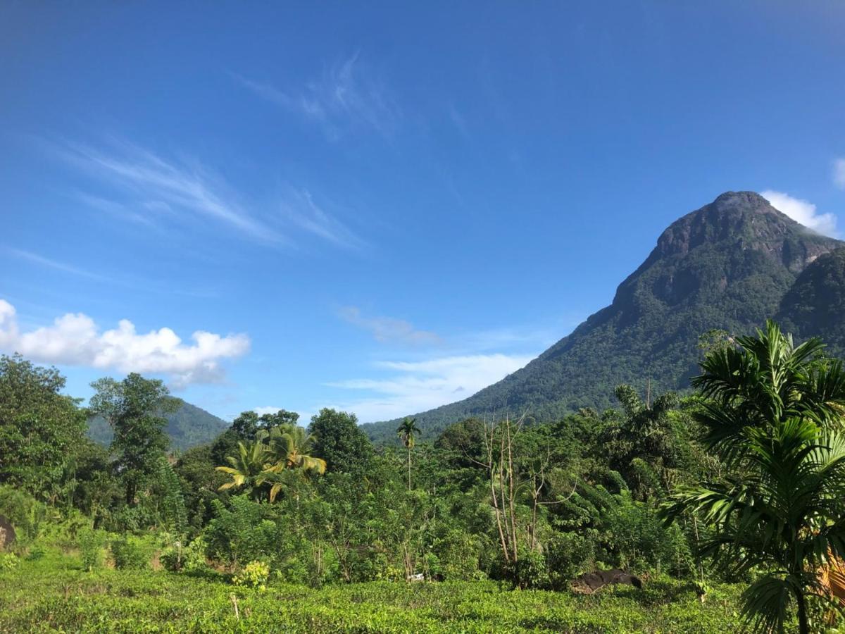 Palabaddala Tea And Eco Lodge Ratnapura Εξωτερικό φωτογραφία
