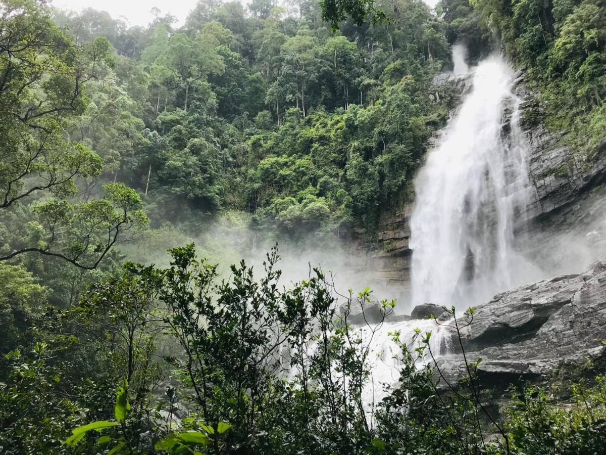 Palabaddala Tea And Eco Lodge Ratnapura Εξωτερικό φωτογραφία