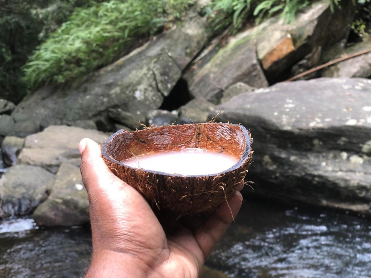 Palabaddala Tea And Eco Lodge Ratnapura Εξωτερικό φωτογραφία