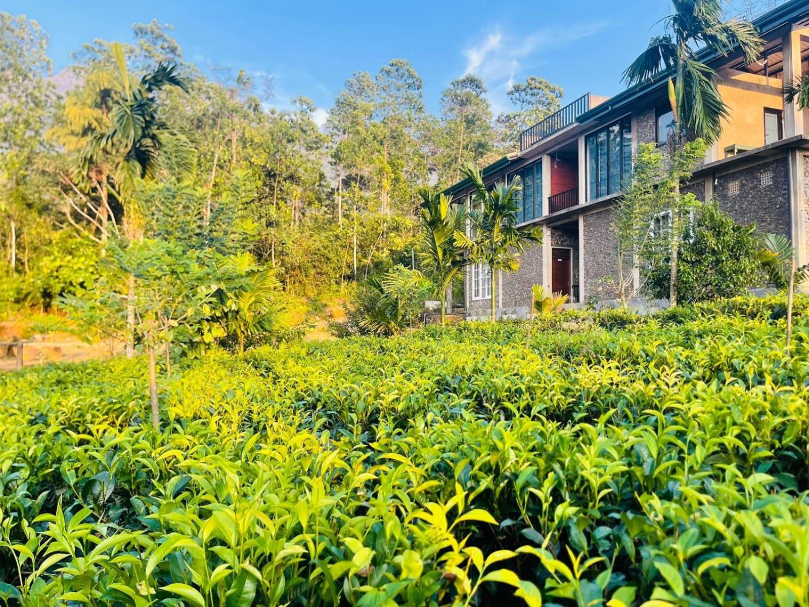 Palabaddala Tea And Eco Lodge Ratnapura Εξωτερικό φωτογραφία