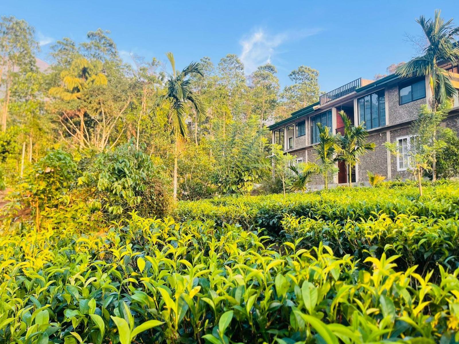 Palabaddala Tea And Eco Lodge Ratnapura Εξωτερικό φωτογραφία