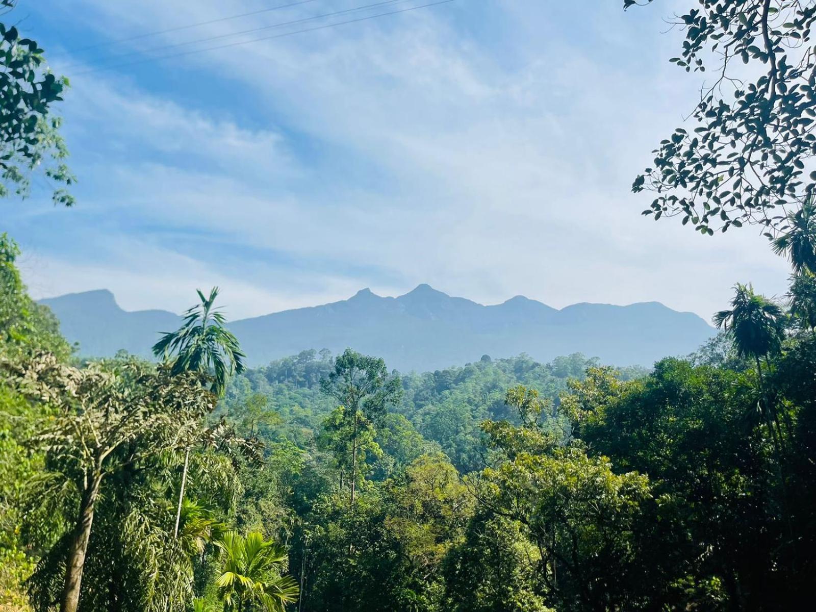 Palabaddala Tea And Eco Lodge Ratnapura Εξωτερικό φωτογραφία