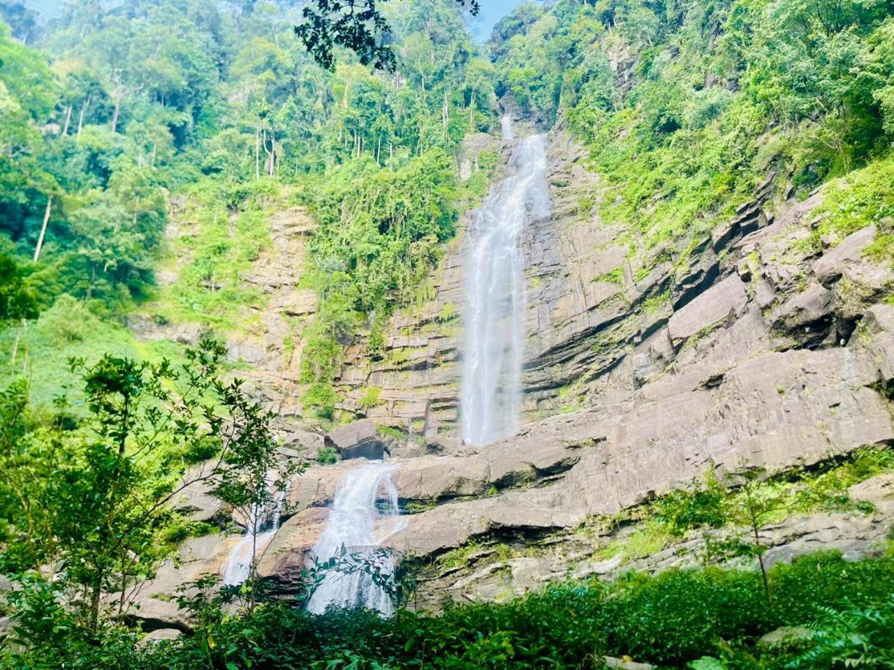 Palabaddala Tea And Eco Lodge Ratnapura Εξωτερικό φωτογραφία
