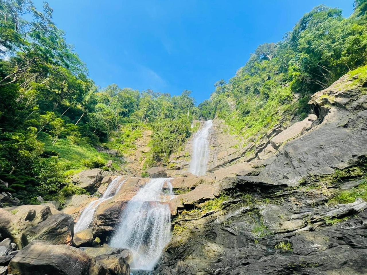 Palabaddala Tea And Eco Lodge Ratnapura Εξωτερικό φωτογραφία
