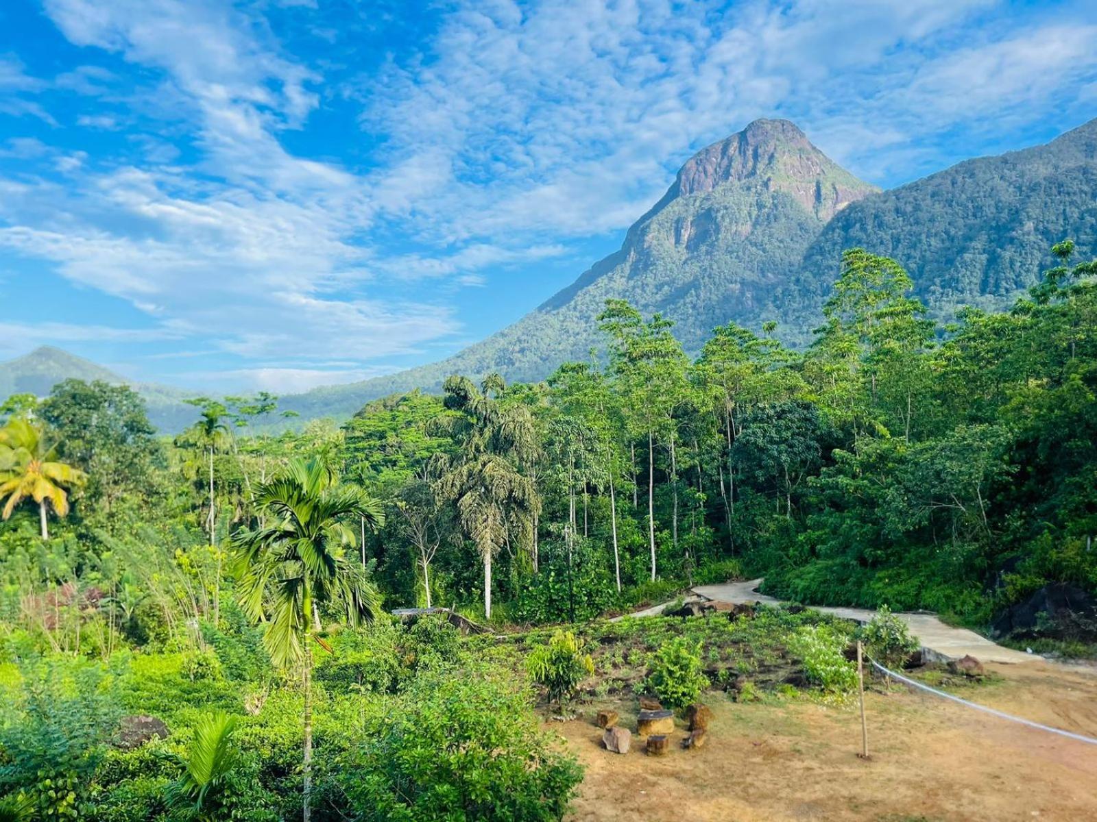 Palabaddala Tea And Eco Lodge Ratnapura Εξωτερικό φωτογραφία